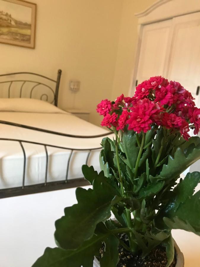 Domo Antiga Guest Rooms Sorso Exterior photo
